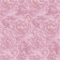 Албена розовый КГ 01